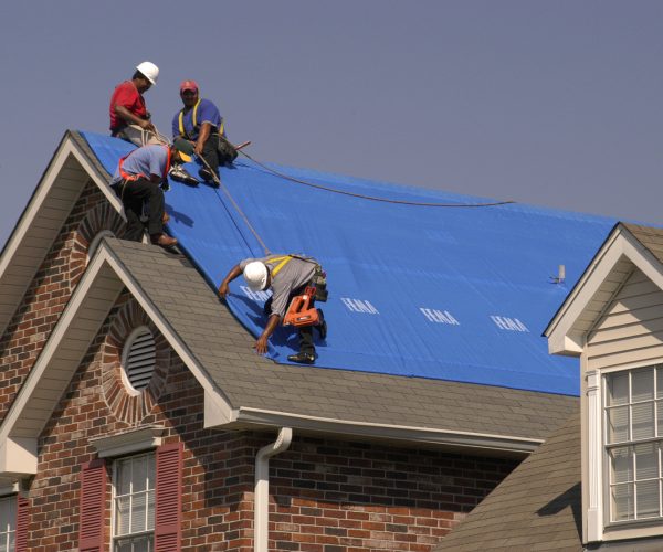 New Orleans, LA 10-18-05
A team of workers install a temporary blue roof on a house damaged by Hurricane Kitrina to protect it from futher water damage as part of the Bluse Roof program.
The Blue Roof program was designed as a way to quickly put temparary coverings on roofs till the roof can be repaired by conventional methods. 
MARVIN NAUMAN/FEMA photo