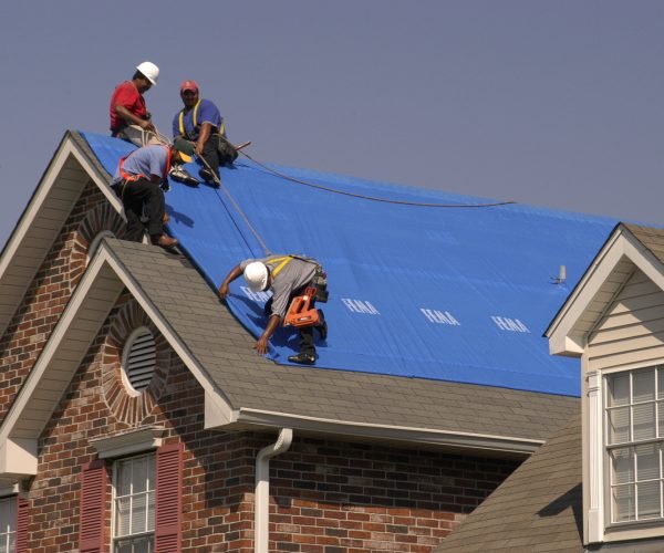 New Orleans, LA 10-18-05
A team of workers install a temporary blue roof on a house damaged by Hurricane Kitrina to protect it from futher water damage as part of the Bluse Roof program.
The Blue Roof program was designed as a way to quickly put temparary coverings on roofs till the roof can be repaired by conventional methods. 
MARVIN NAUMAN/FEMA photo
