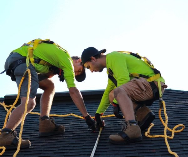 raze-solar-umJz4M-iCOw-unsplash-1536x1024